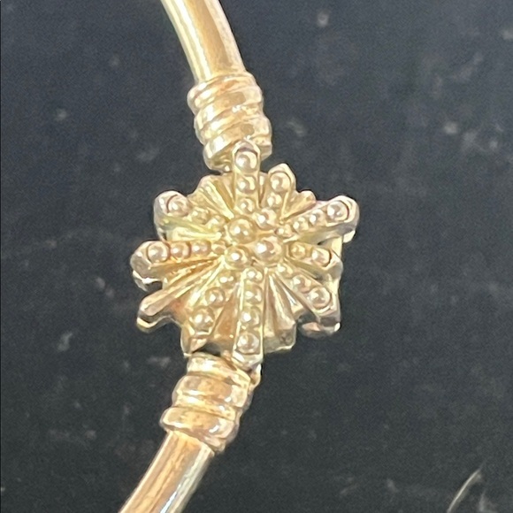 Pandora Silver Bracelet with Charm - Picture 7 of 11